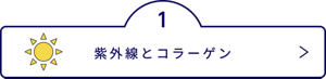 紫外線とコラーゲン
