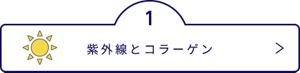 紫外線とコラーゲン