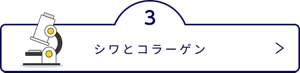 シワとコラーゲン