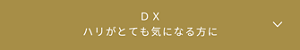 DX ハリがとても気になる方に