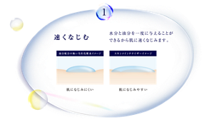スキンメインテナイザー - LISSAGE リサージ -