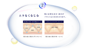 スキンメインテナイザー - LISSAGE リサージ -