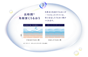 スキンメインテナイザー - LISSAGE リサージ -