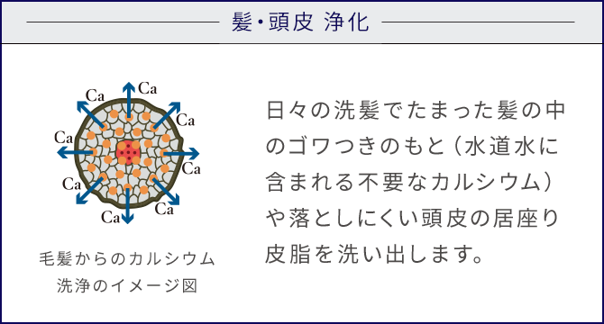 リサージヴォーニュ - LISSAGE リサージ -