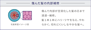 傷んだ髪の内部補修 毛髪断面イメージ図 傷んで内部が空洞化した髪の芯まで浸透・補修。髪1本1本にハリ・ツヤを与え、やわらかく、切れにくいしなやかな髪へ。