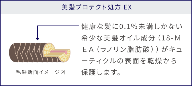 リサージ ヴォーニュ エクストラ ヘアチェンジａ - LISSAGE リサージ -