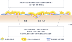 塗膜的示意圖