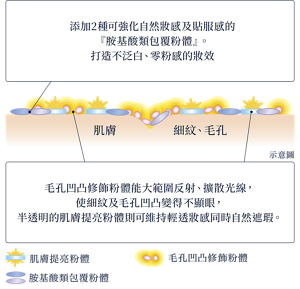 塗膜的示意圖