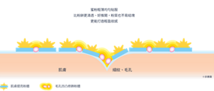 塗膜的示意圖