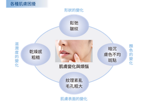 各種肌膚困擾示意圖
