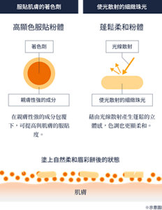 高顯色服貼粉體和蓬鬆柔和粉體的妝效示意圖