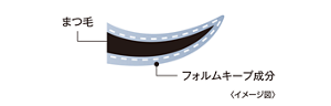 まつ毛 フォルムキープ成分〈イメージ図〉
