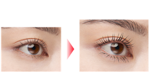 素まつ毛 Before ラッシュマキシマイザーZ+ラッシュバースト BK-1 仕上がりイメージ