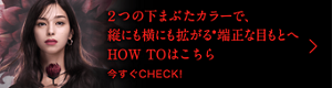 ２つの下まぶたカラーで、 縦にも横にも拡がる*端正な目もとへ HOW TOはこちら 今すぐCHECK!