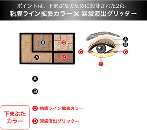 ポイントは、下まぶたのために設計された2色。 粘膜ライン拡張カラー×涙袋演出グリッター 陰影カラー Aベース陰影カラー目もとを明るく整える Bミディアム陰影カラー目もとに深みを与える 下まぶたカラー C粘膜ライン拡張カラー下まぶたの目頭・目尻にライン的に入れて横幅を拡張して見せる D涙袋演出グリッター下まぶたに輝きの立体感をつくって、縦幅を拡張して見せる