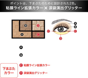 ポイントは、下まぶたのために設計された2色。 粘膜ライン拡張カラー×涙袋演出グリッター 陰影カラー Aベース陰影カラー目もとを明るく整える Bミディアム陰影カラー目もとに深みを与える 下まぶたカラー C粘膜ライン拡張カラー下まぶたの目頭・目尻にライン的に入れて横幅を拡張して見せる D涙袋演出グリッター下まぶたに輝きの立体感をつくって、縦幅を拡張して見せる