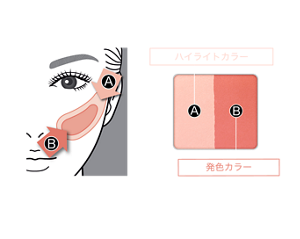 HOW TO A＝ハイライトカラー B＝発色カラー ①Bをブラシにとり、骨格に沿って幅狭めに入れます。 ②Aをブラシにとり、顔の中央に向かって幅広めに入れます。