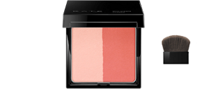 広範囲も部分使いもぼかしやすいブラシつき