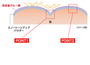 高密着グルー膜 肌 スノートーンアップ パウダー 〈イメージ図〉 POINT1 高いトーンアップ効果 スノートーンアップパウダーが凹凸・毛穴まで入り込み、光の効果で補整 つるんと明るい仕上がりへ POINT2 ハイカバー＆色補整効果 独自の分散技術によりなめらかな均一膜をつくることで､毛穴・色ムラ・くすみを補整