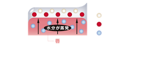唇から蒸発する水分を活用して 密着ジェル膜に変化 長時間の色持ちを実現