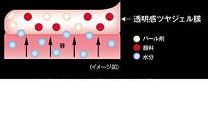 透明感ツヤジェル膜 パール剤 顔料 水分 〈イメージ図〉 長時間の色持ちを実現する独自技術※をリキッド化することに成功! 落ちにくさと透明感発色、うるおい感を実現。みずみずしいツヤ感のある仕上がりに。※当社独自の色持ち技術