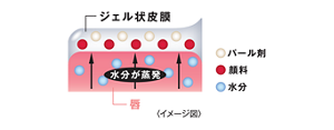 ジェル状皮膜 水分が蒸発 パール剤 顔料 水分 唇 〈イメージ図〉 