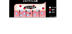長時間の色持ちを実現する密着ジェル膜がリップモンスターシリーズのスティック口紅の中で最もやわらかい感触のとろツヤジェル膜に！ とろけて肉厚なツヤが広がり、縦ジワも補整。 落ちにくく、乾燥しにくい。