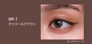 BR-1 チャコールブラウン 仕上がりイメージ