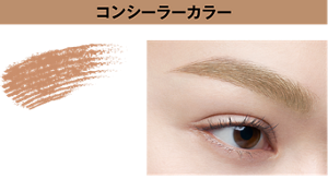 コンシーラーカラーBR-2 ライトブラウン 仕上がりイメージ