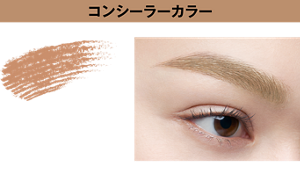コンシーラーカラーBR-2 ライトブラウン 仕上がりイメージ