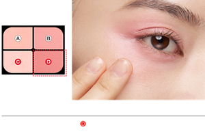 STEP2 ・指またはお手持ちのブラシにDをとり、上まぶた目尻側～頬にかけて繋げながらのせます。