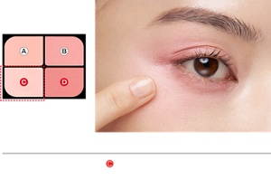 STEP 3 ・指またはお手持ちのブラシにCをとり、目頭側と頬骨の高いところにのせて立体感を出します。