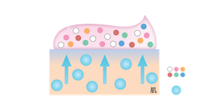 密着ジェル膜 肌 着色剤 水分