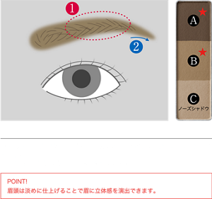 STEP 2 眉中央から眉尻に向かって（①）少し濃いめに色をのせて、グラデーションをつくります。眉山から眉尻まで（②）は濃いめに細く描きます。 POINT! 眉頭は淡めに仕上げることで眉に立体感を演出できます。