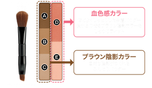 ノーズシャドウブラシ アイブロウブラシ 血色感カラー ほどよくしっとりした密着パウダー 後からのせるブラウン陰影カラーもしっかりフィット ブラウン陰影カラー 自然な陰影がつくれるふんわりパウダー
