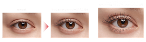 素まつ毛 ラッシュマキシマイザーHP2.0使用 ラッシュマキシマイザーHP2.0 + カールアウェイキングマスカラ（BK-1）使用 仕上がりイメージ