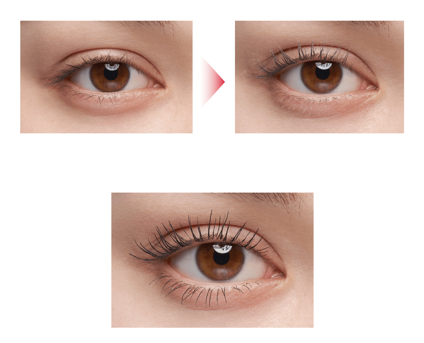 人気デザイナー KATE HP2.0 MAXIMIZER LASH | UP PICK | マスカラ・マスカラ下地