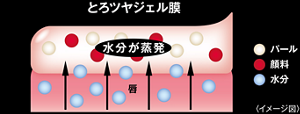 とろツヤジェル膜 <イメージ図>