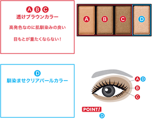 ABC 透けブラウンカラー 高発色なのに肌馴染みの良い 透け発色と艶めくような繊細ラメで、 目もとが重たくならない！ 抜け感のある立体的な目もと印象に D 馴染ませクリアパールカラー ブラウンに重ねて立体艶感を強調 A ライトブラウンカラー B ミディアムブラウンカラー C ディープブラウンカラー D 馴染ませクリアパールカラー POINT！ 仕上げのDで立体感も調整自在！