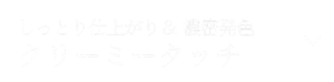 しっとり仕上がり＆ 濃密発色 クリーミータッチ