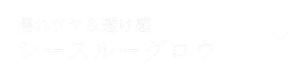 濡れツヤ＆透け感 シースルーグロウ