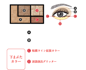 陰影カラー Ⓐ ベース陰影カラー：目もとを明るく整える Ⓑ ミディアム陰影カラー：目もとに深みを与える 下まぶたカラー Ⓒ 粘膜ライン拡張カラー：下まぶたの目頭・目尻にライン的に入れて横幅を拡張して見せる Ⓓ 涙袋演出グリッター：下まぶたに輝きの立体感をつくって、縦幅を拡張して見せる