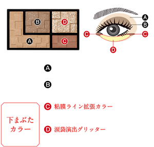 陰影カラー Ⓐ ベース陰影カラー：目もとを明るく整える Ⓑ ミディアム陰影カラー：目もとに深みを与える 下まぶたカラー Ⓒ 粘膜ライン拡張カラー：下まぶたの目頭・目尻にライン的に入れて横幅を拡張して見せる Ⓓ 涙袋演出グリッター：下まぶたに輝きの立体感をつくって、縦幅を拡張して見せる