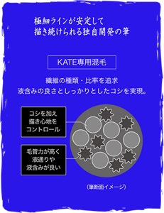 極細ラインが安定して描き続けられる独自開発の筆 KATE専用混毛 遷移の種類・比率を追求 液含みの良さとしっかりとしたコシを実現。 （筆断面イメージ）