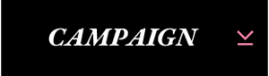CAMPAIGN