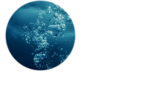 海洋性美容成分CP ※3