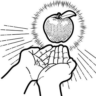 KATE | KATE UPCYCLE PROJECT