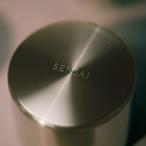 LIMITED_COLLABORATION