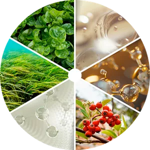 Circular pie of six ingredients of Advanced CPX Vital Extract