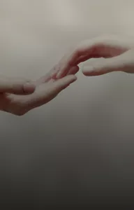 Deux mains se touchant délicatement du bout des doigts.